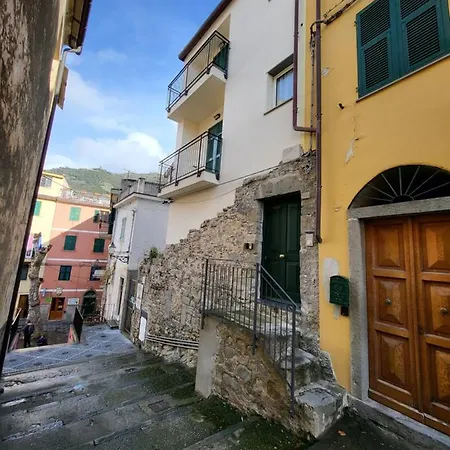 Puppo * Corniglia